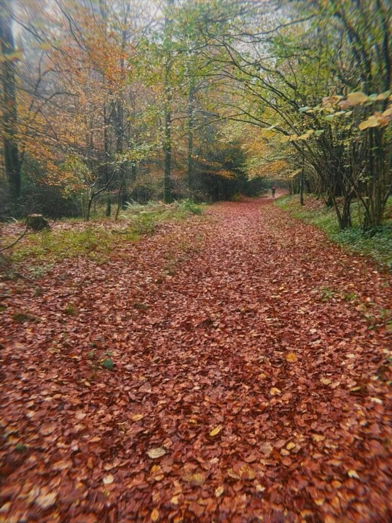 Carn Runner Marlene on the 5 Trails Ultra 50K course