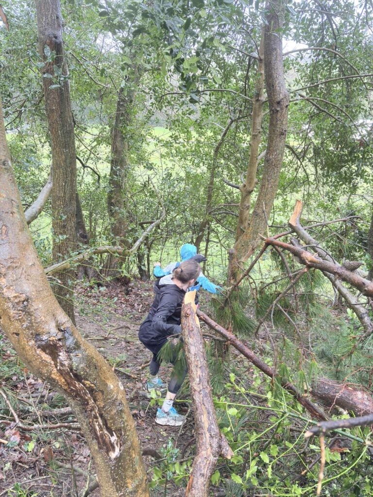Carn Runners Parkrun and woodland long run in Cornwall